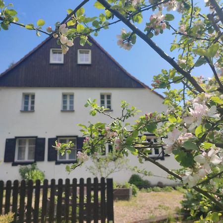 Lusatia Farm Leśna Zewnętrze zdjęcie