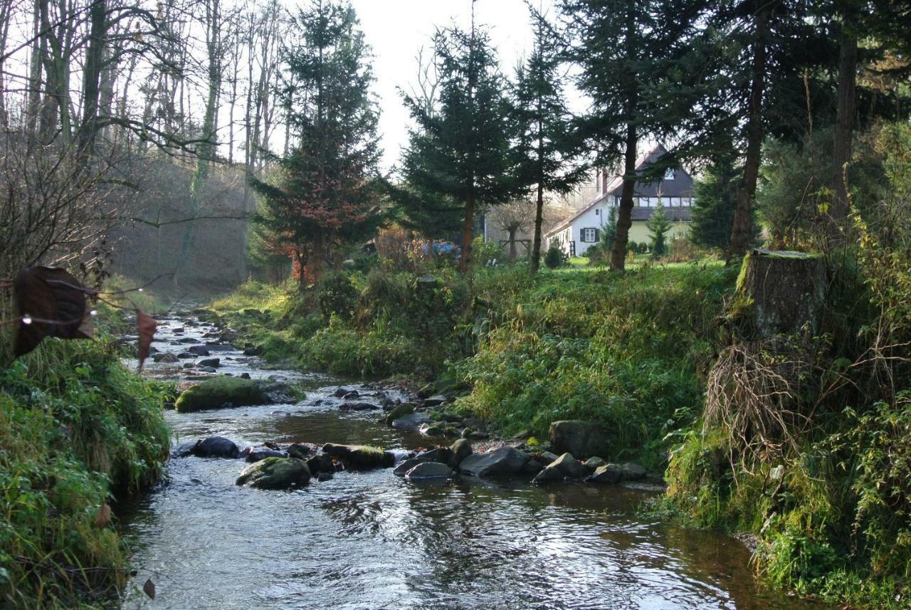 Lusatia Farm Leśna Zewnętrze zdjęcie