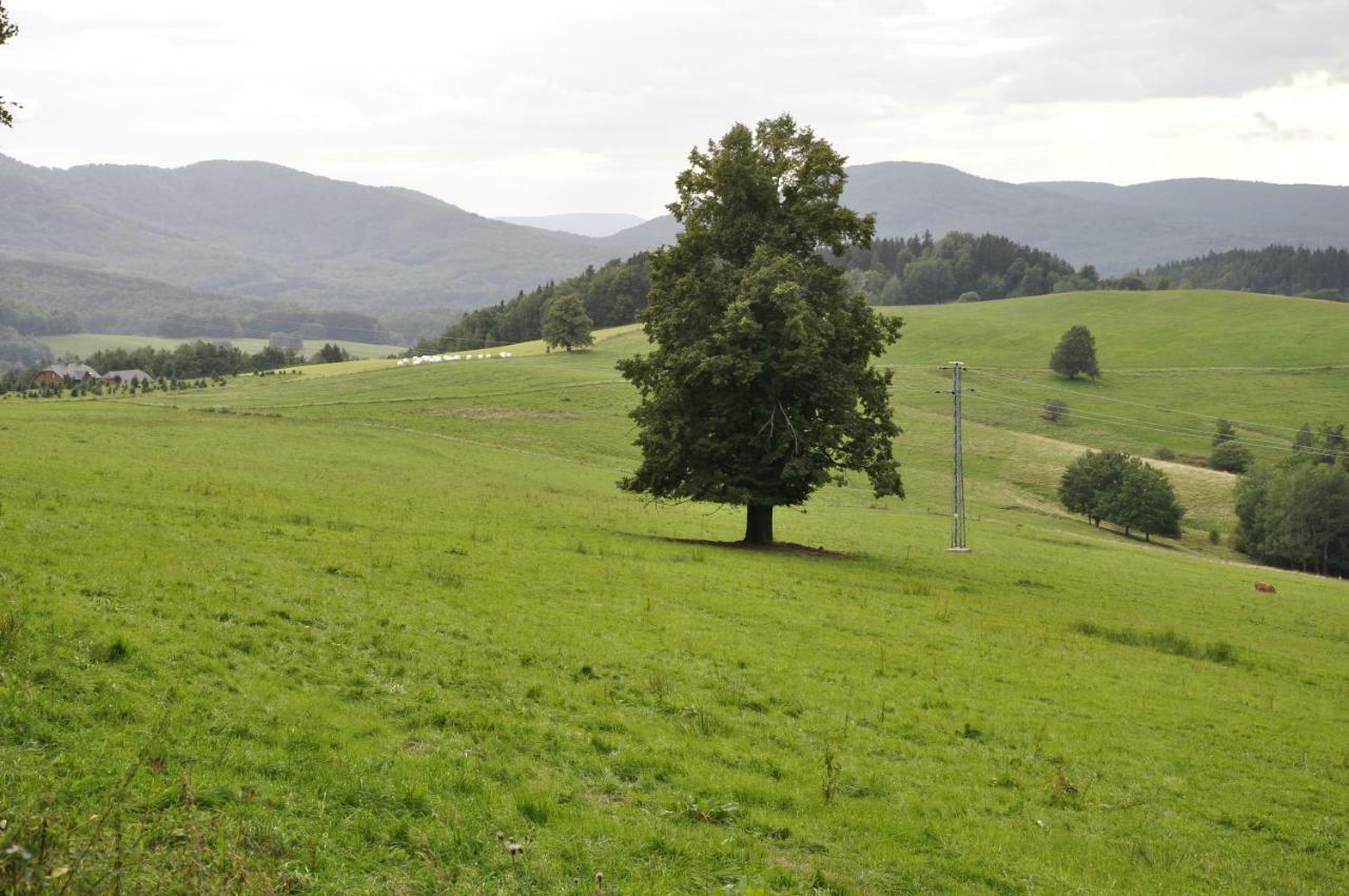 Lusatia Farm Leśna Zewnętrze zdjęcie